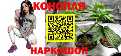 винт Ирбит