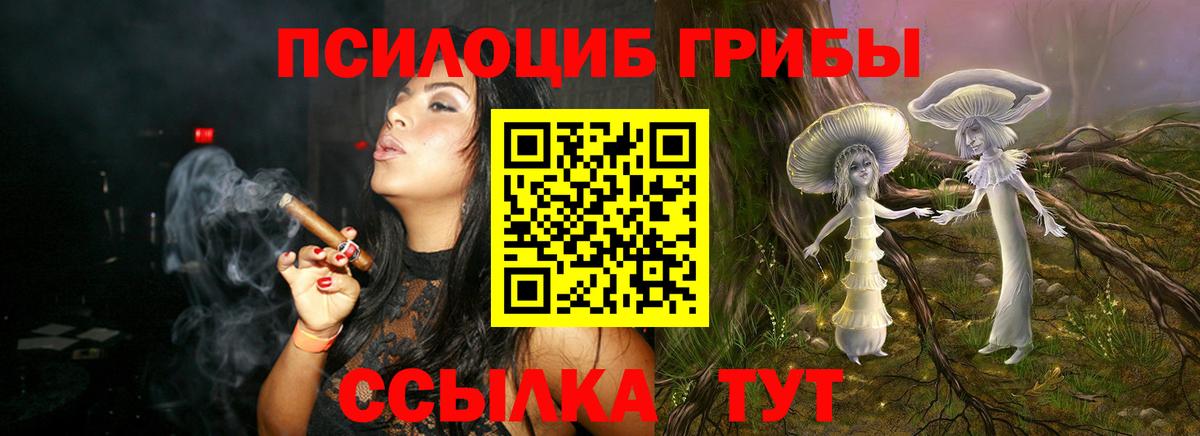Галлюциногенные грибы Psilocybe  Вход с VPN  Кудрово 